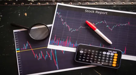 SRS Investment Management Portfolio and Fees