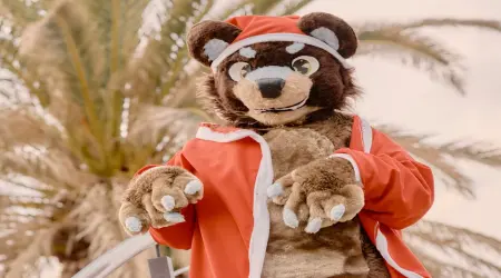 Bear Suit Luxury Car Scam Explained